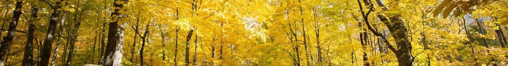 North Branch Trail At Miami Woods Oct2013